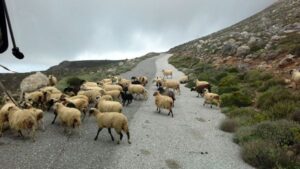 lasithi naturaleza