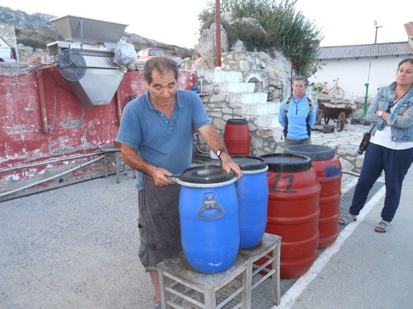 bodega bidones