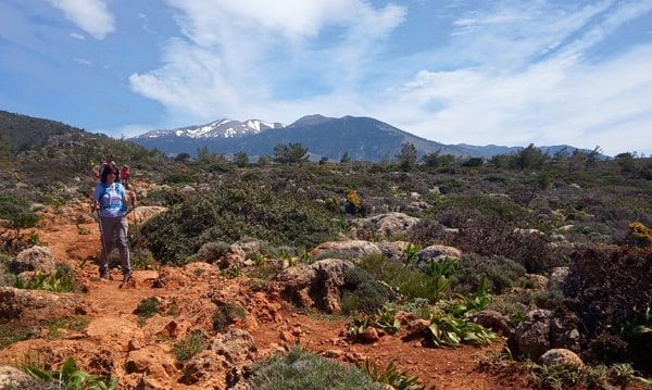 camino Lisos paisaje